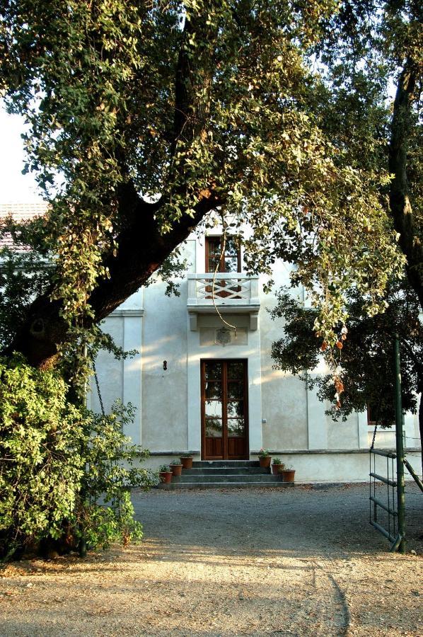 Casa Vina De Alcantara Херес-де-ла-Фронтера Экстерьер фото